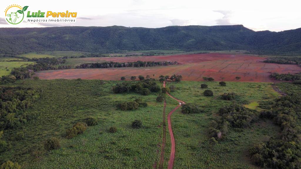 Fazenda à venda, 1519m² - Foto 7