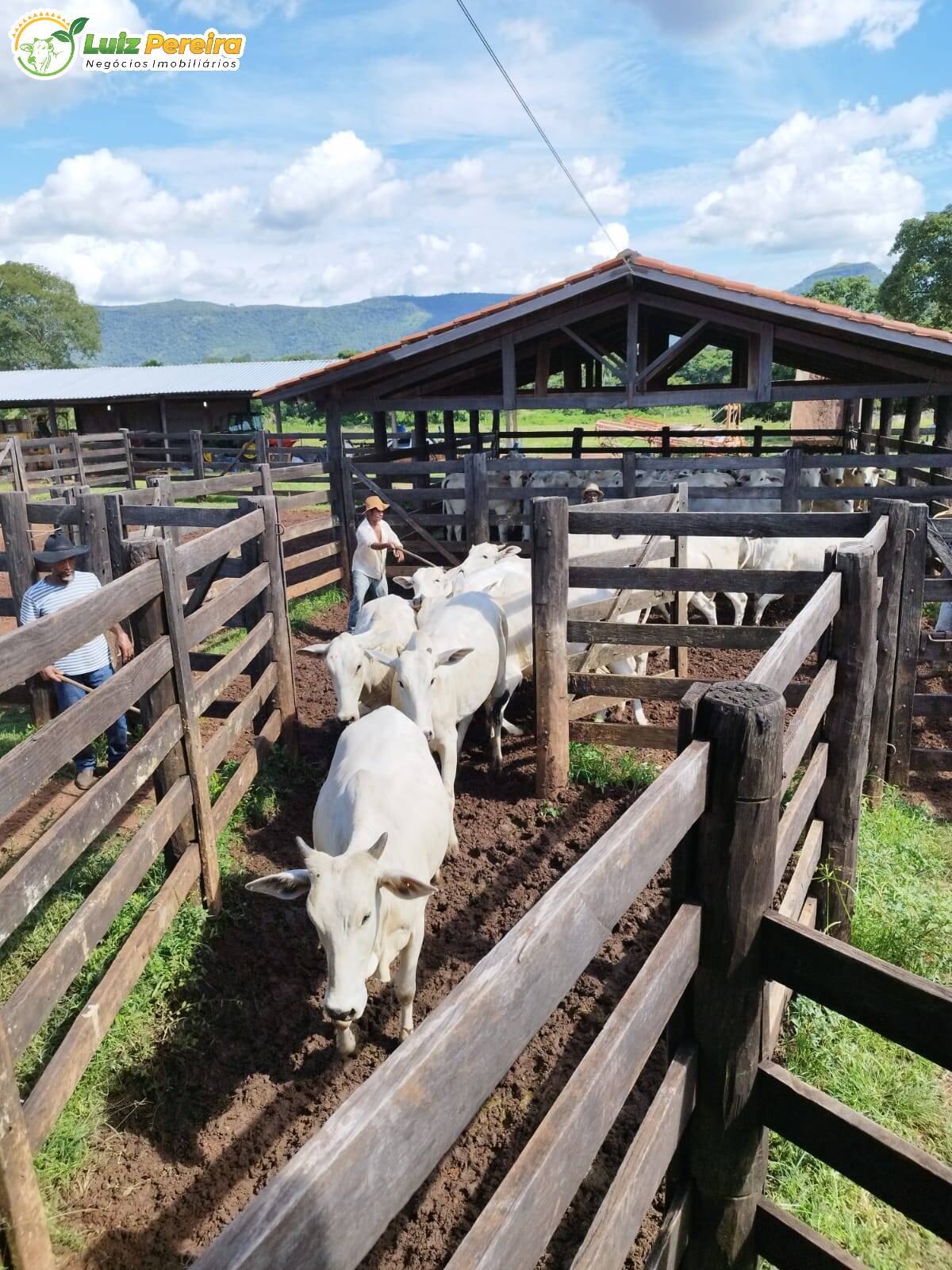 Fazenda à venda, 1519m² - Foto 10