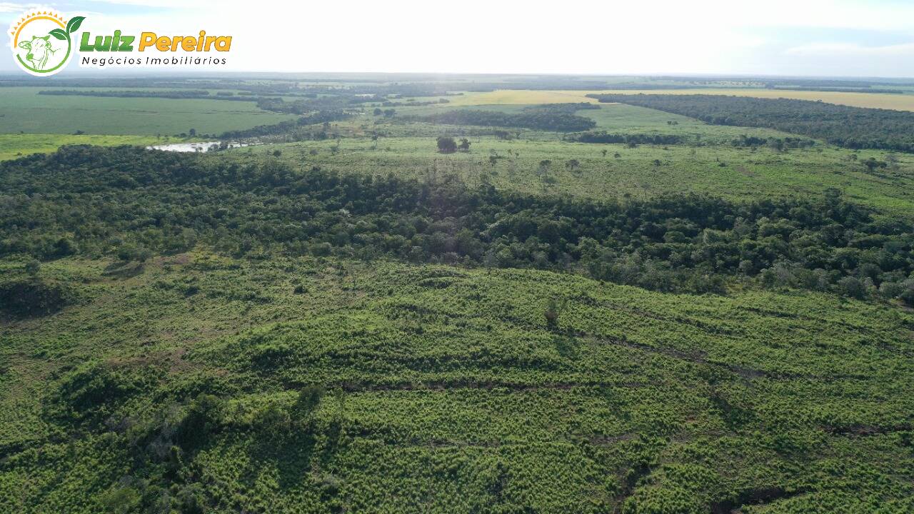 Fazenda à venda, 7550000m² - Foto 7