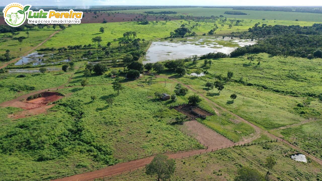 Fazenda à venda, 7550000m² - Foto 8