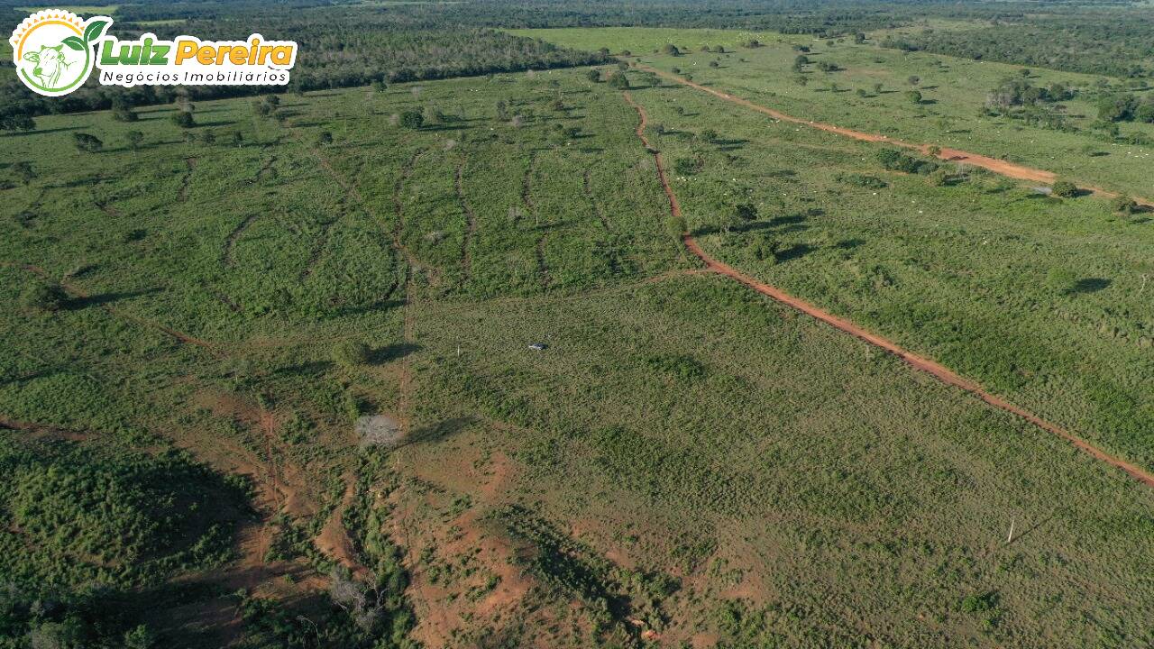 Fazenda à venda, 7550000m² - Foto 15