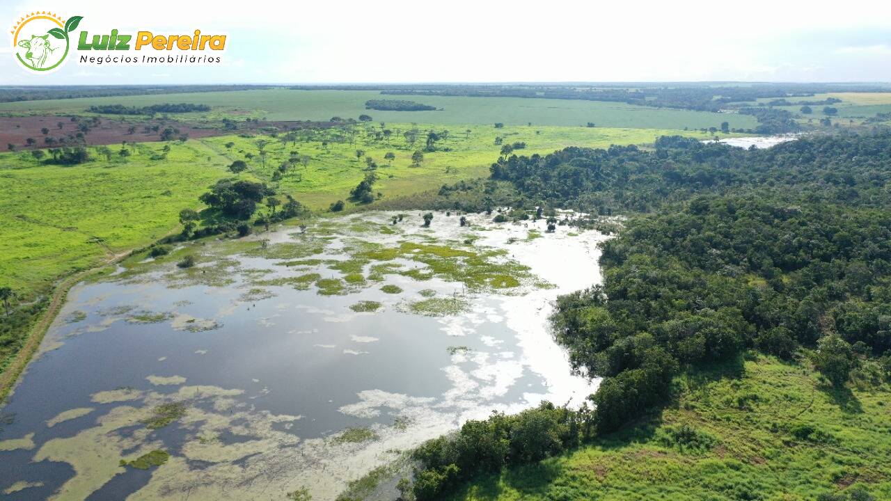 Fazenda à venda, 7550000m² - Foto 5