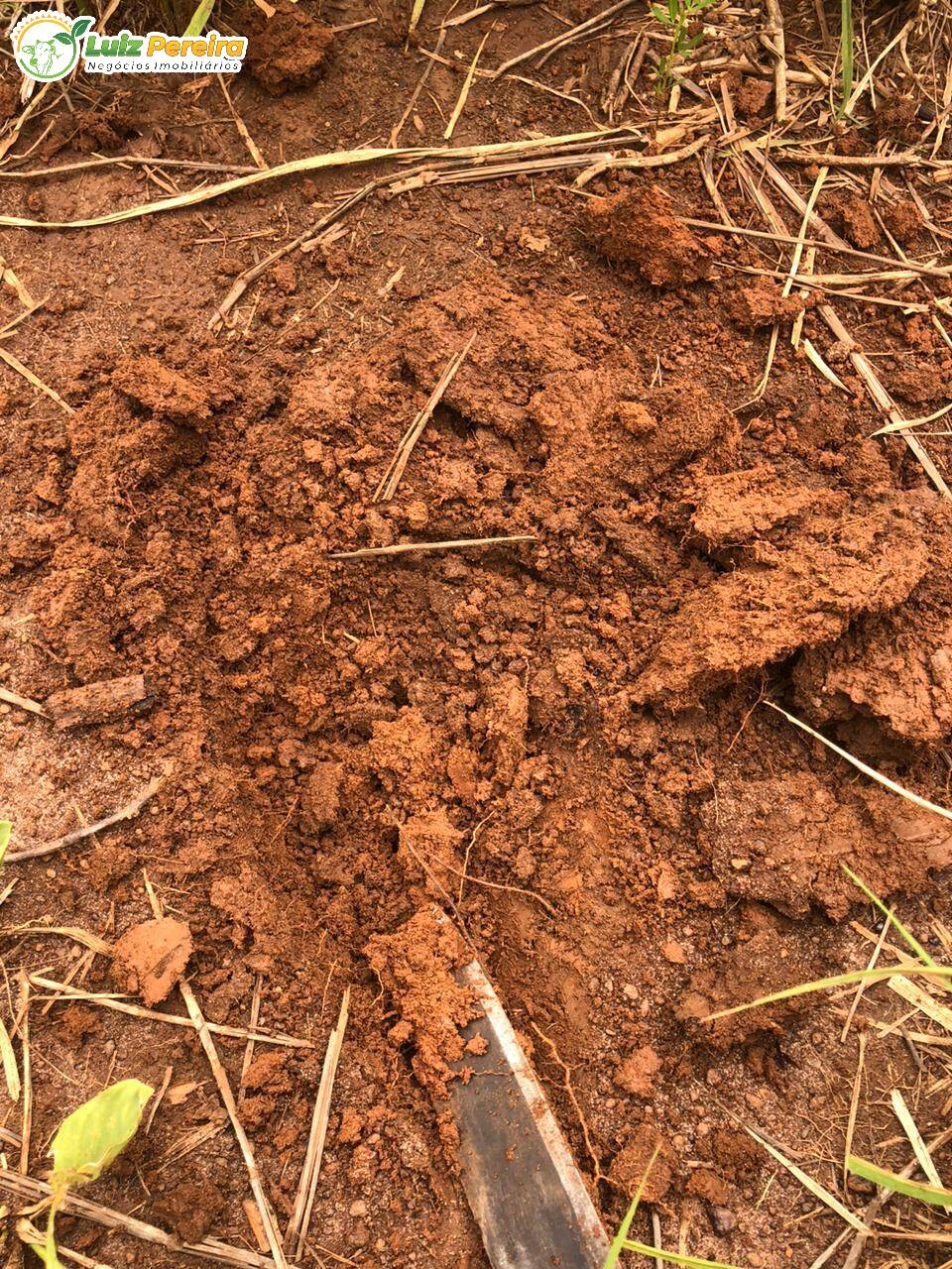 Fazenda à venda, 3000000m² - Foto 11