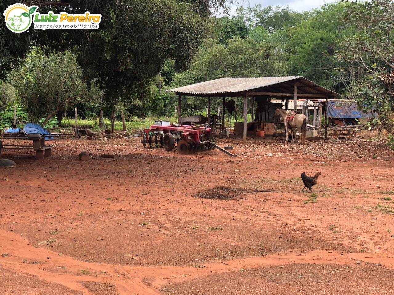 Fazenda à venda, 3000000m² - Foto 12