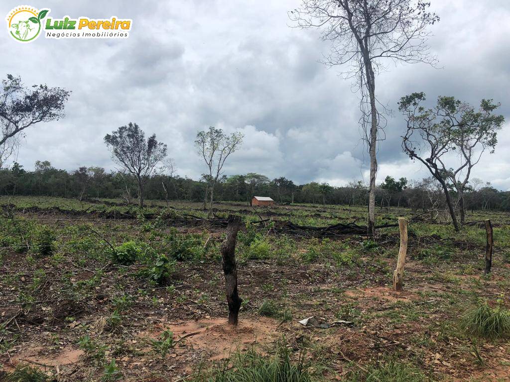 Fazenda à venda, 3000000m² - Foto 7