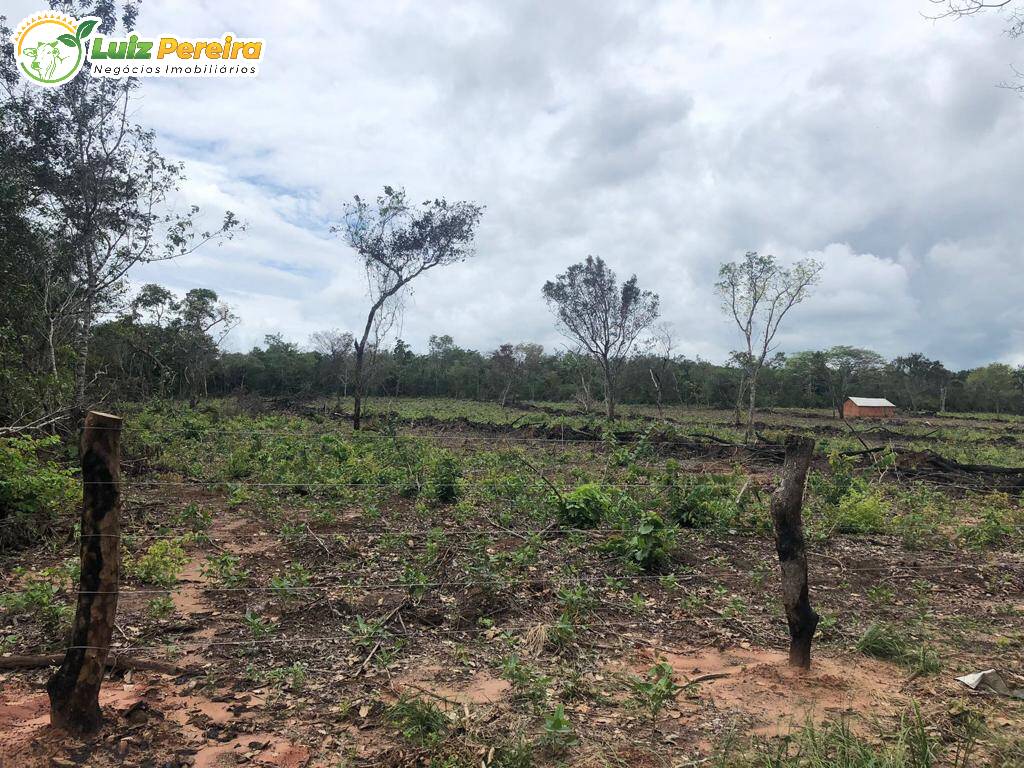 Fazenda à venda, 3000000m² - Foto 5