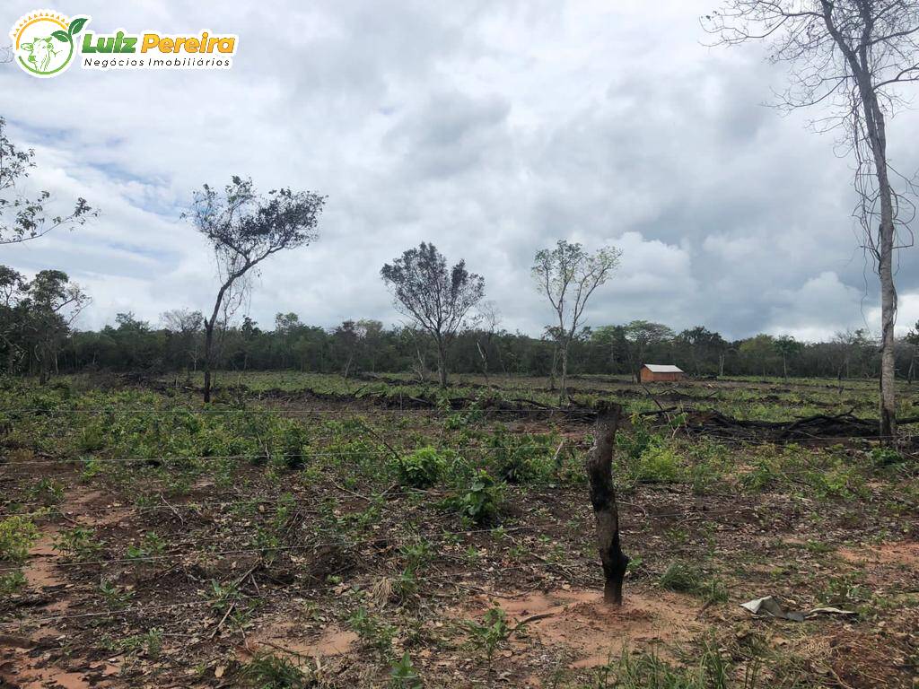 Fazenda à venda, 3000000m² - Foto 6