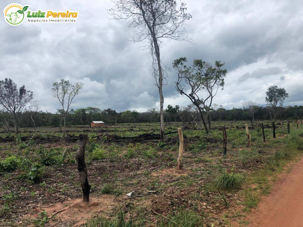 Fazenda à venda, 3000000m² - Foto 8