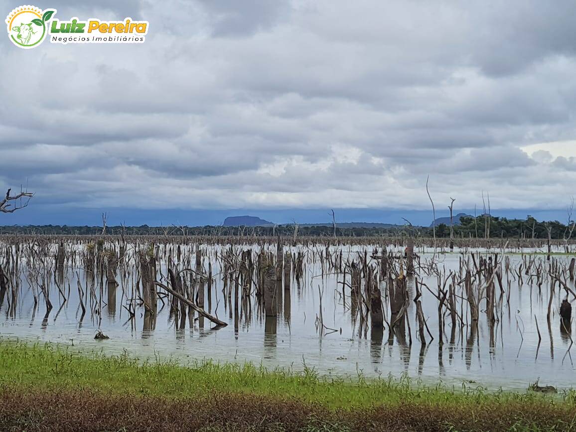 Fazenda à venda, 7790000m² - Foto 5