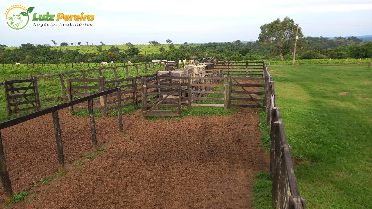 Fazenda à venda, 1000000m² - Foto 6