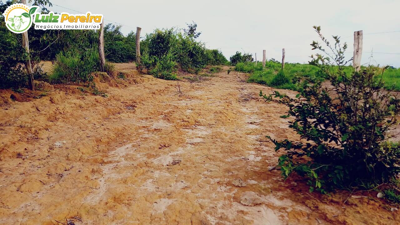 Fazenda à venda, 1000000m² - Foto 7