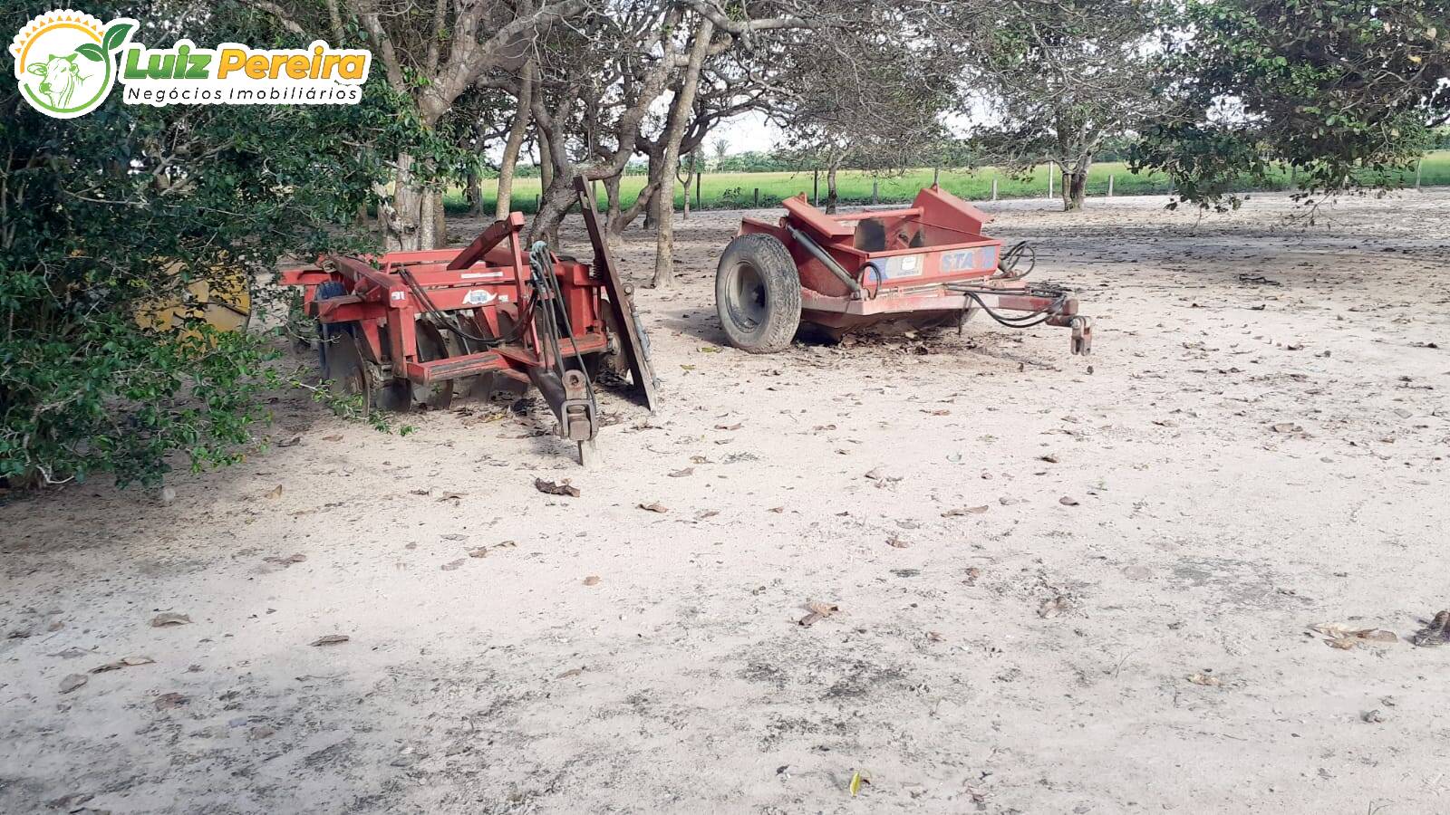 Fazenda à venda, 31460000m² - Foto 12