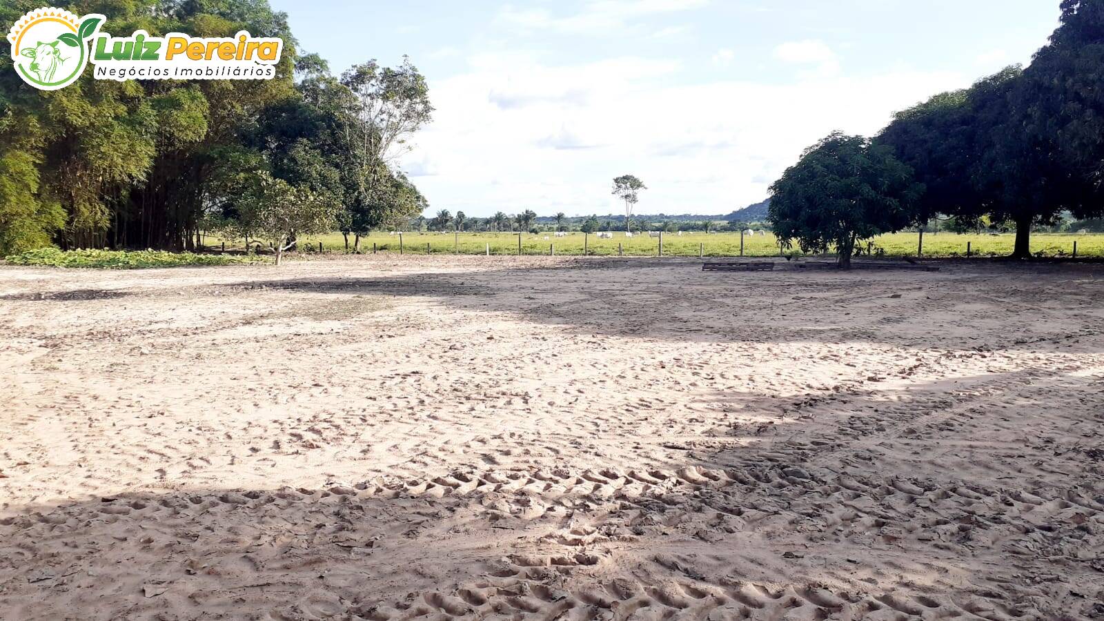 Fazenda-Sítio-Chácara, 3146 hectares - Foto 2