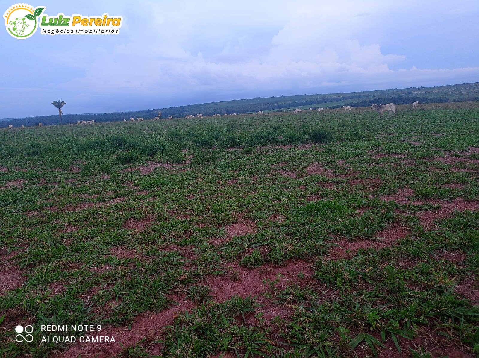 Fazenda à venda, 35332000m² - Foto 15