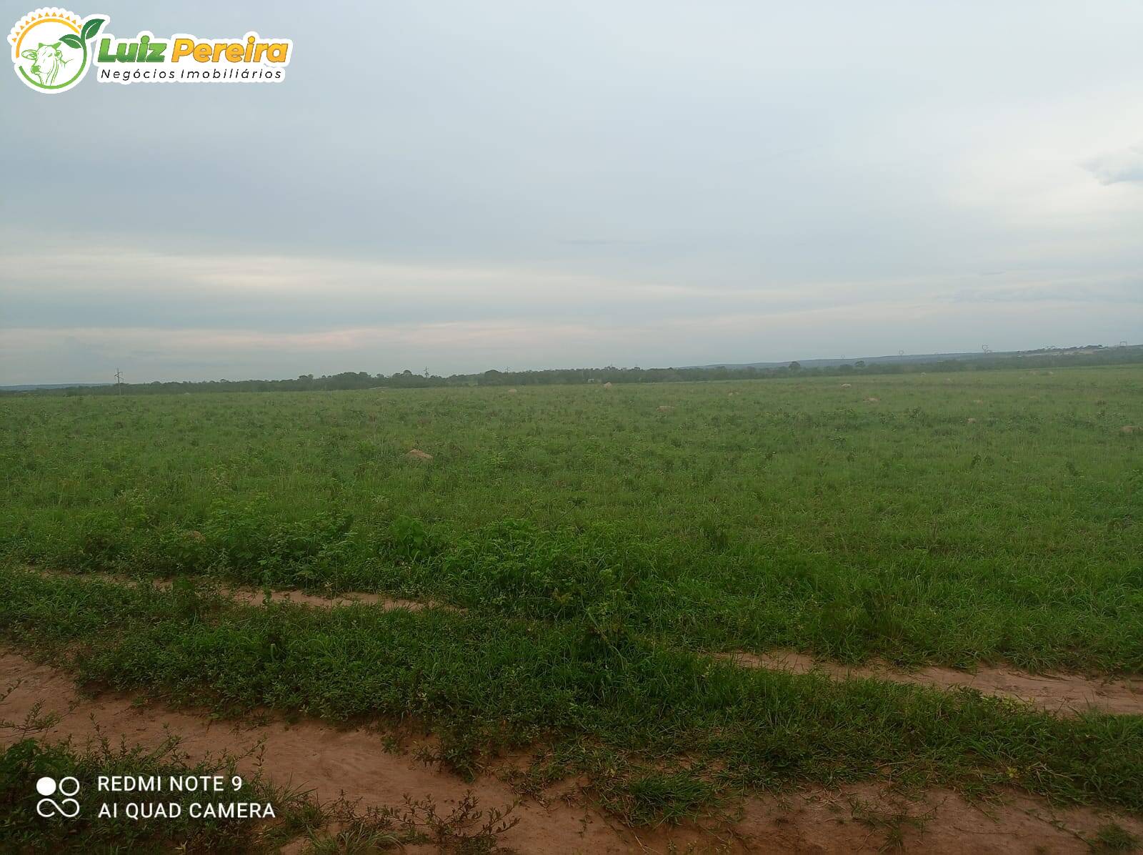 Fazenda à venda, 35332000m² - Foto 1