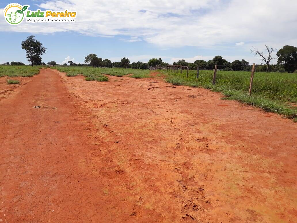 Fazenda à venda, 8712000m² - Foto 12