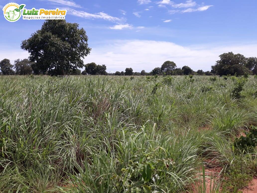 Fazenda à venda, 8712000m² - Foto 6