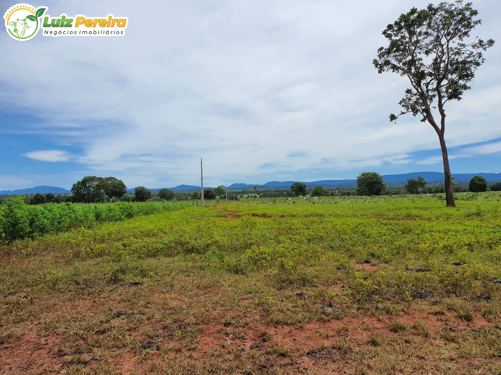 Fazenda à venda, 8712000m² - Foto 5