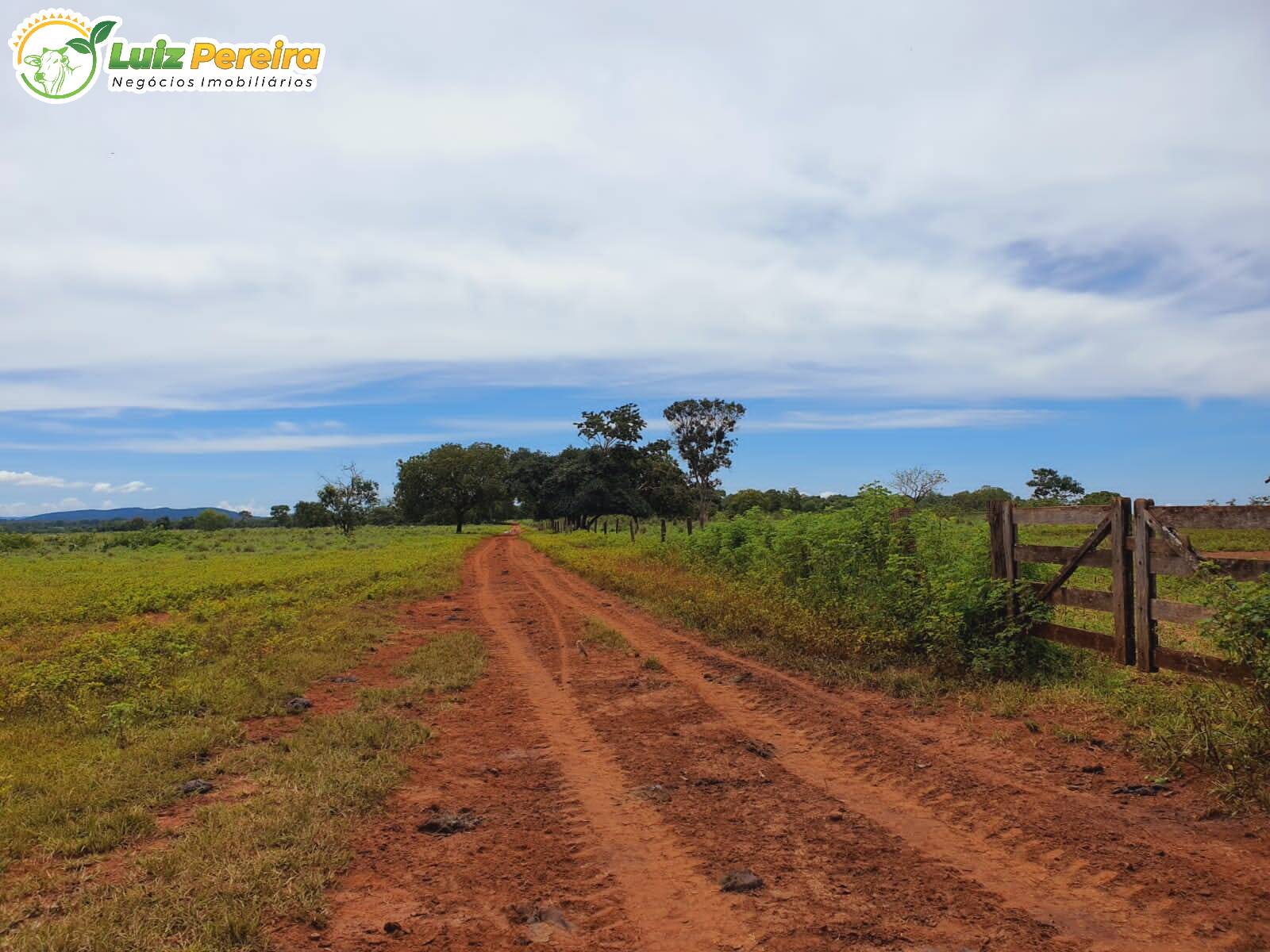 Fazenda à venda, 8712000m² - Foto 14