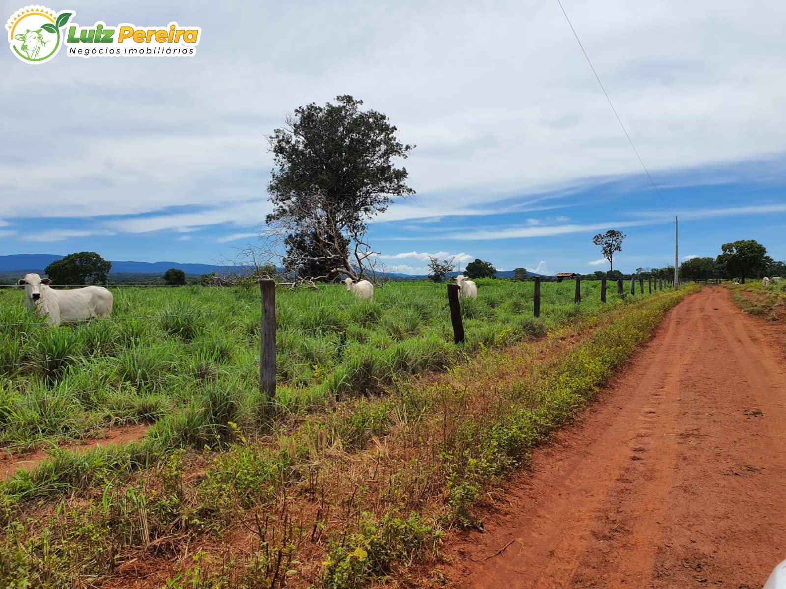 Fazenda à venda, 8712000m² - Foto 9