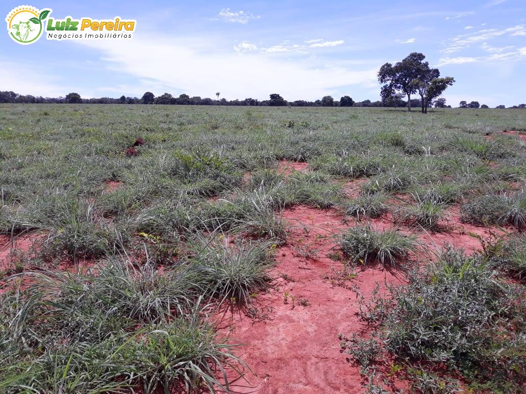 Fazenda à venda, 8712000m² - Foto 16