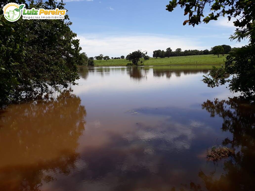 Fazenda à venda, 8712000m² - Foto 8