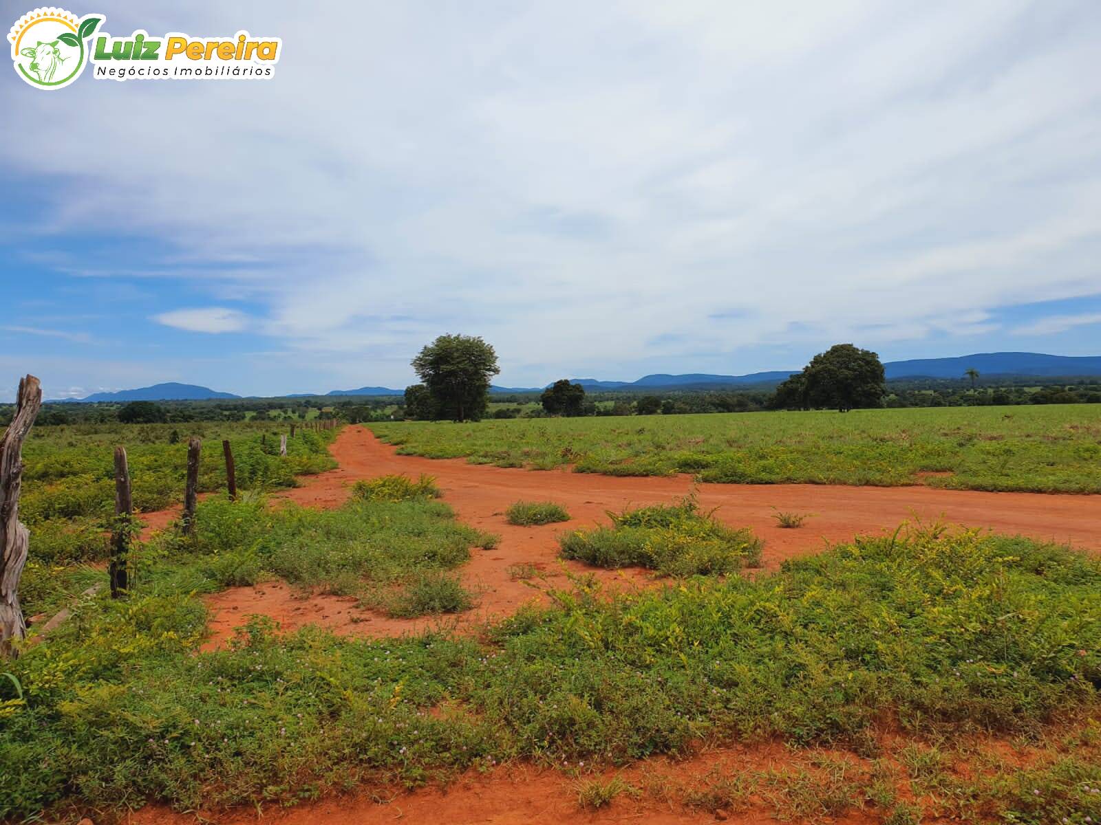 Fazenda-Sítio-Chácara, 871 hectares - Foto 4