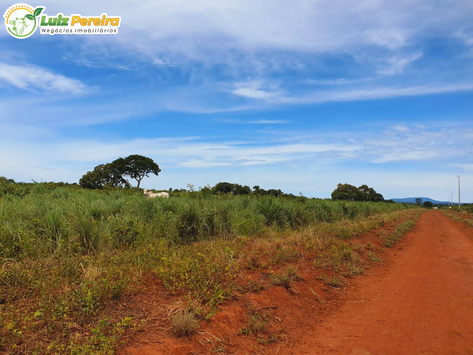 Fazenda à venda, 8712000m² - Foto 10