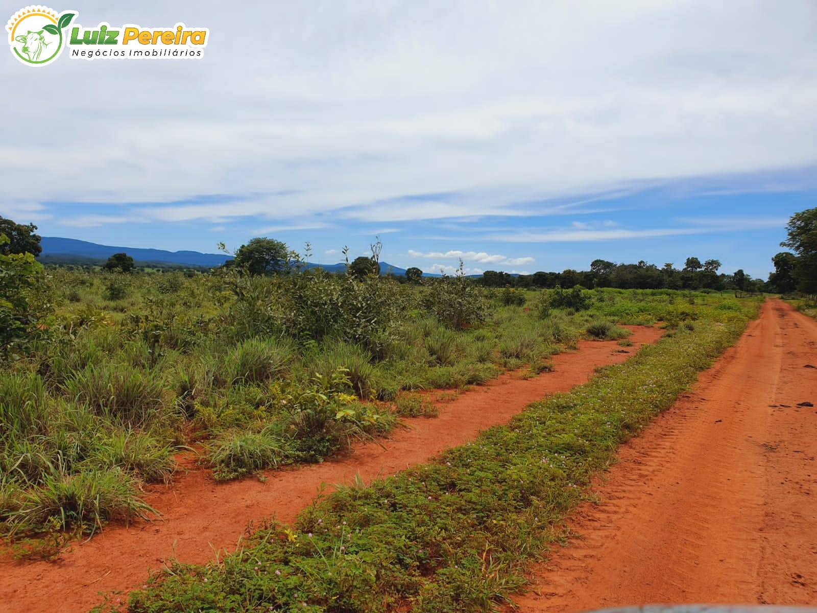 Fazenda à venda, 8712000m² - Foto 13