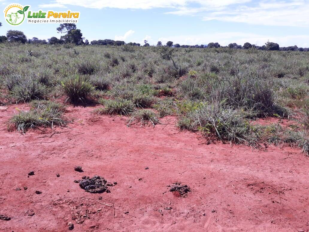 Fazenda à venda, 8712000m² - Foto 20