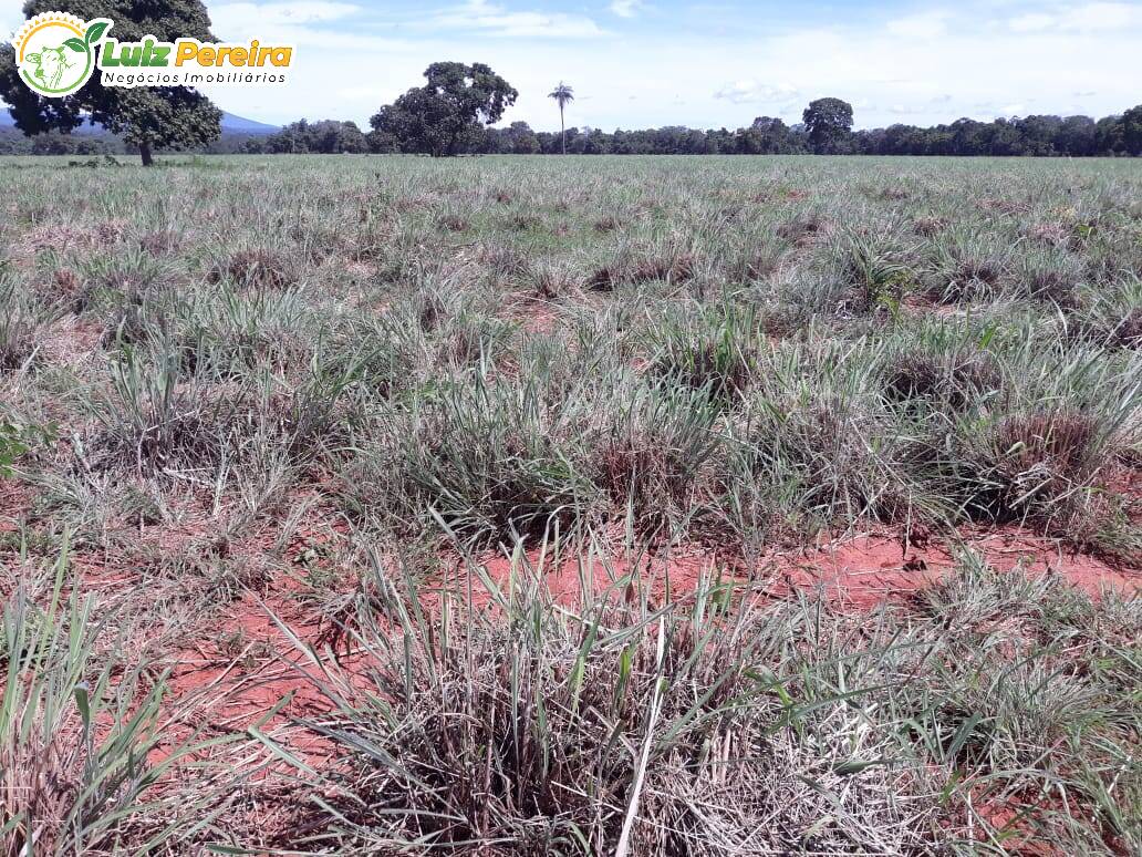 Fazenda à venda, 8712000m² - Foto 19