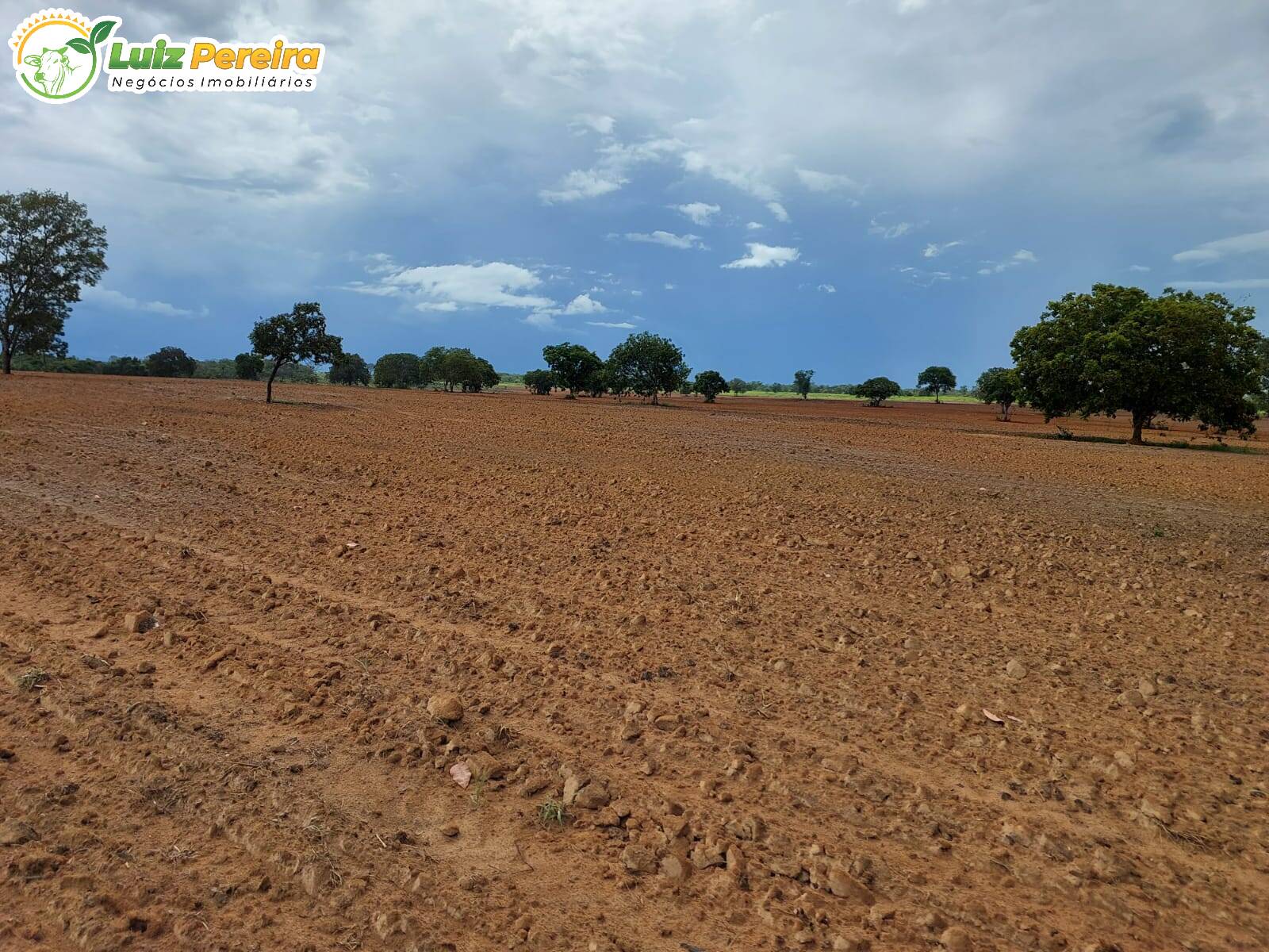 Fazenda à venda, 7260000m² - Foto 5