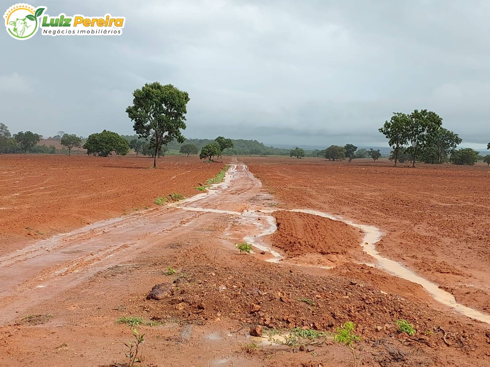 Fazenda à venda, 7260000m² - Foto 4