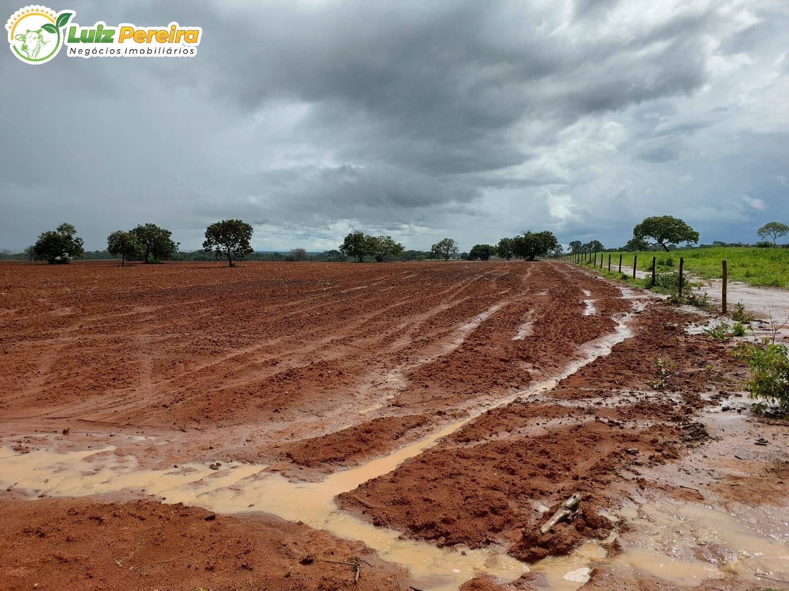 Fazenda à venda, 7260000m² - Foto 6