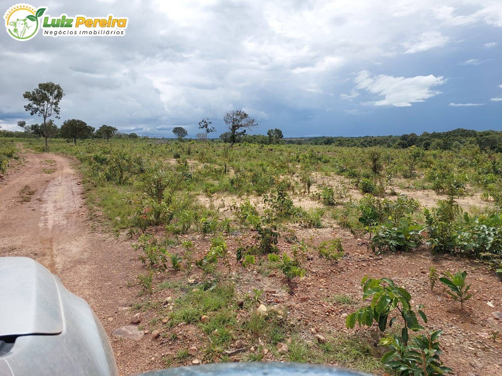 Fazenda à venda, 7260000m² - Foto 1