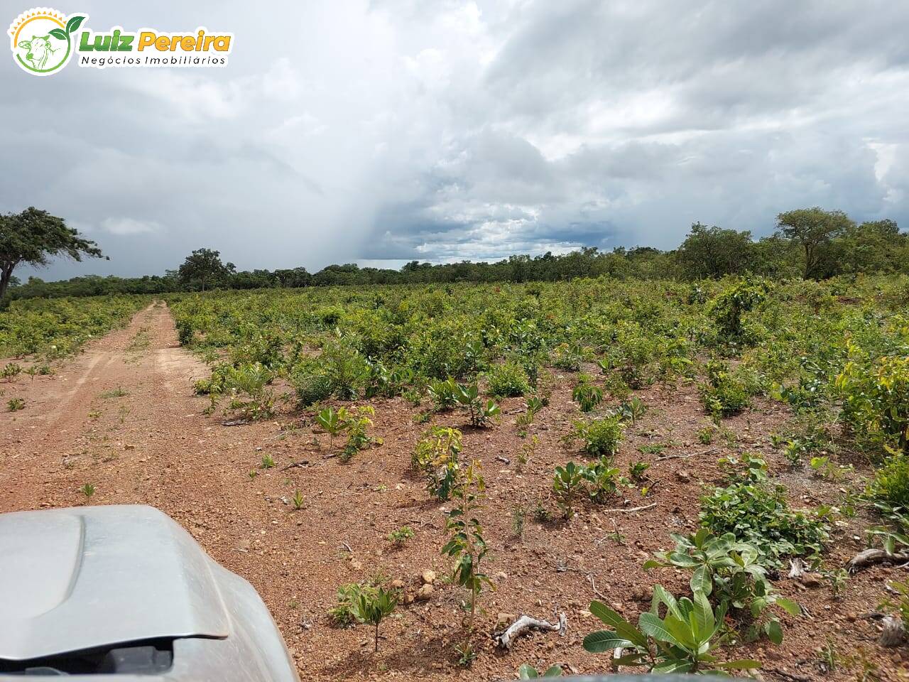 Fazenda à venda, 7260000m² - Foto 2