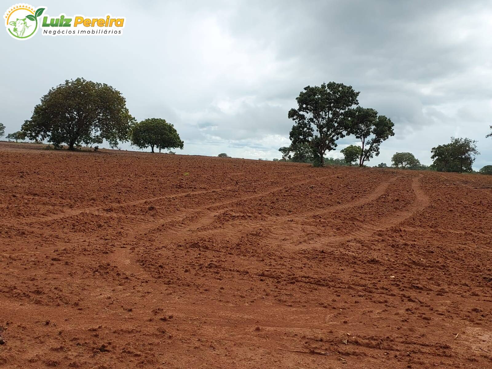 Fazenda à venda, 7260000m² - Foto 7