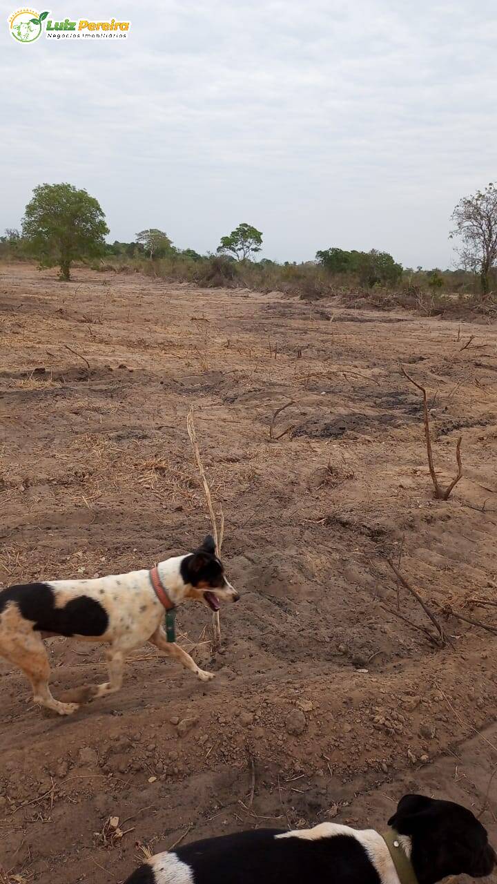 Fazenda à venda, 5160000m² - Foto 4