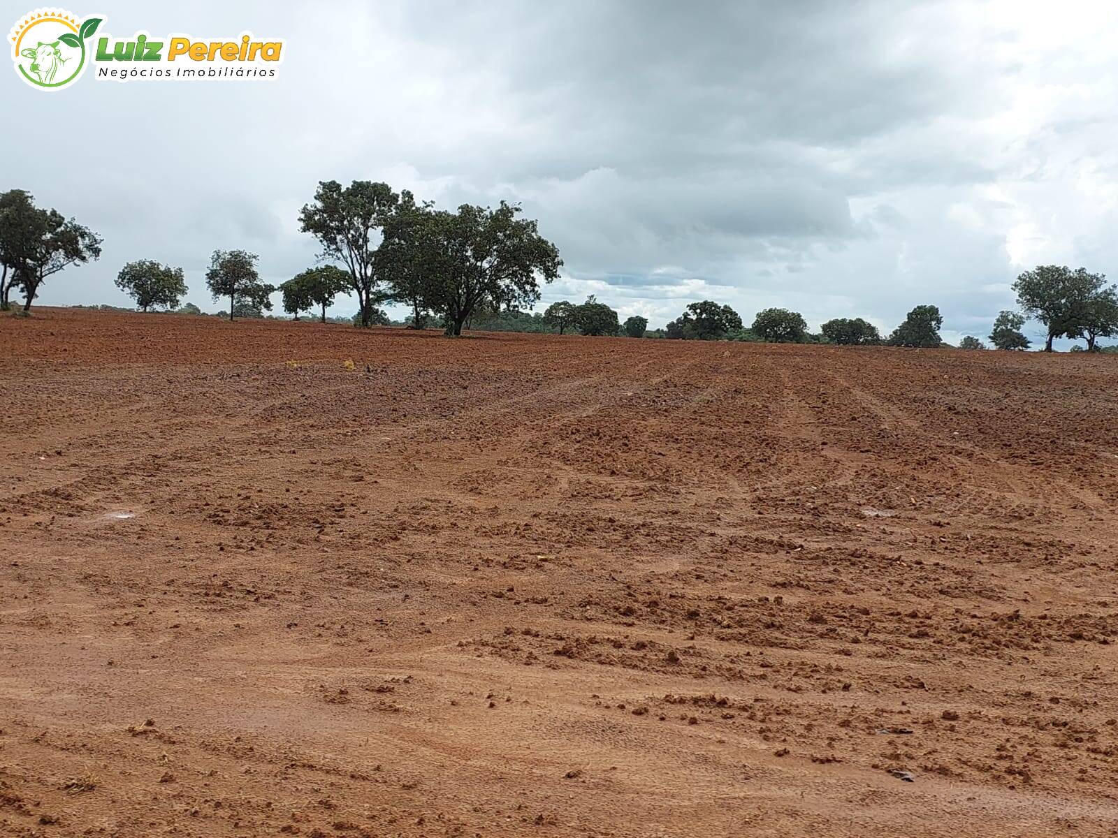 Fazenda à venda, 5160000m² - Foto 6