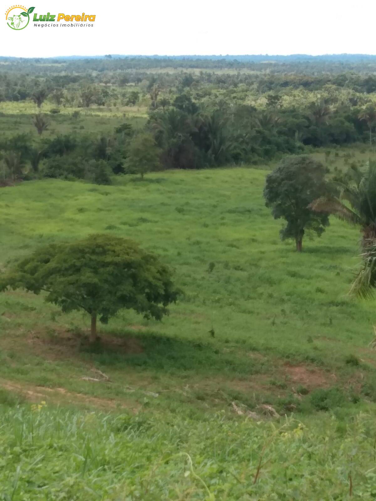 Fazenda à venda, 5650000m² - Foto 1