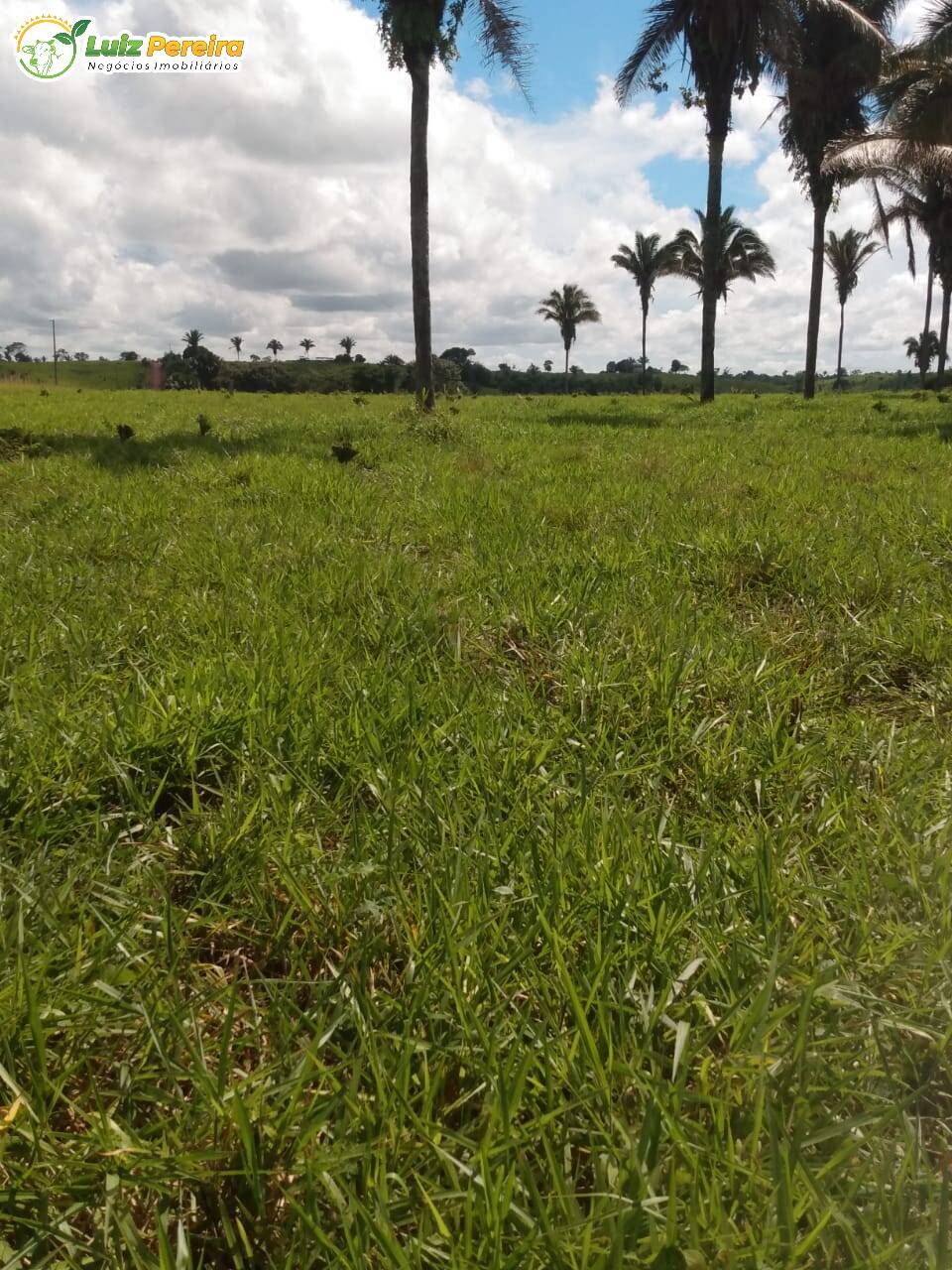 Fazenda à venda, 5650000m² - Foto 9