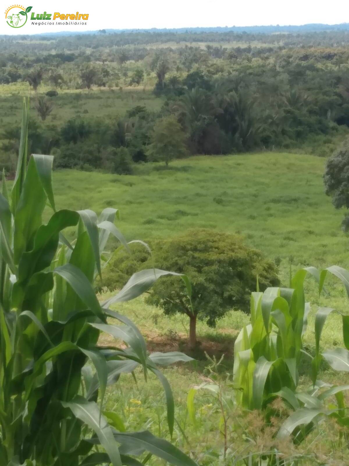 Fazenda à venda, 5650000m² - Foto 3