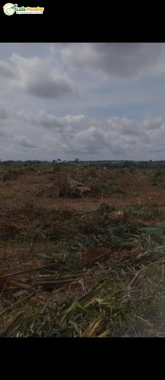 Fazenda à venda, 5650000m² - Foto 10