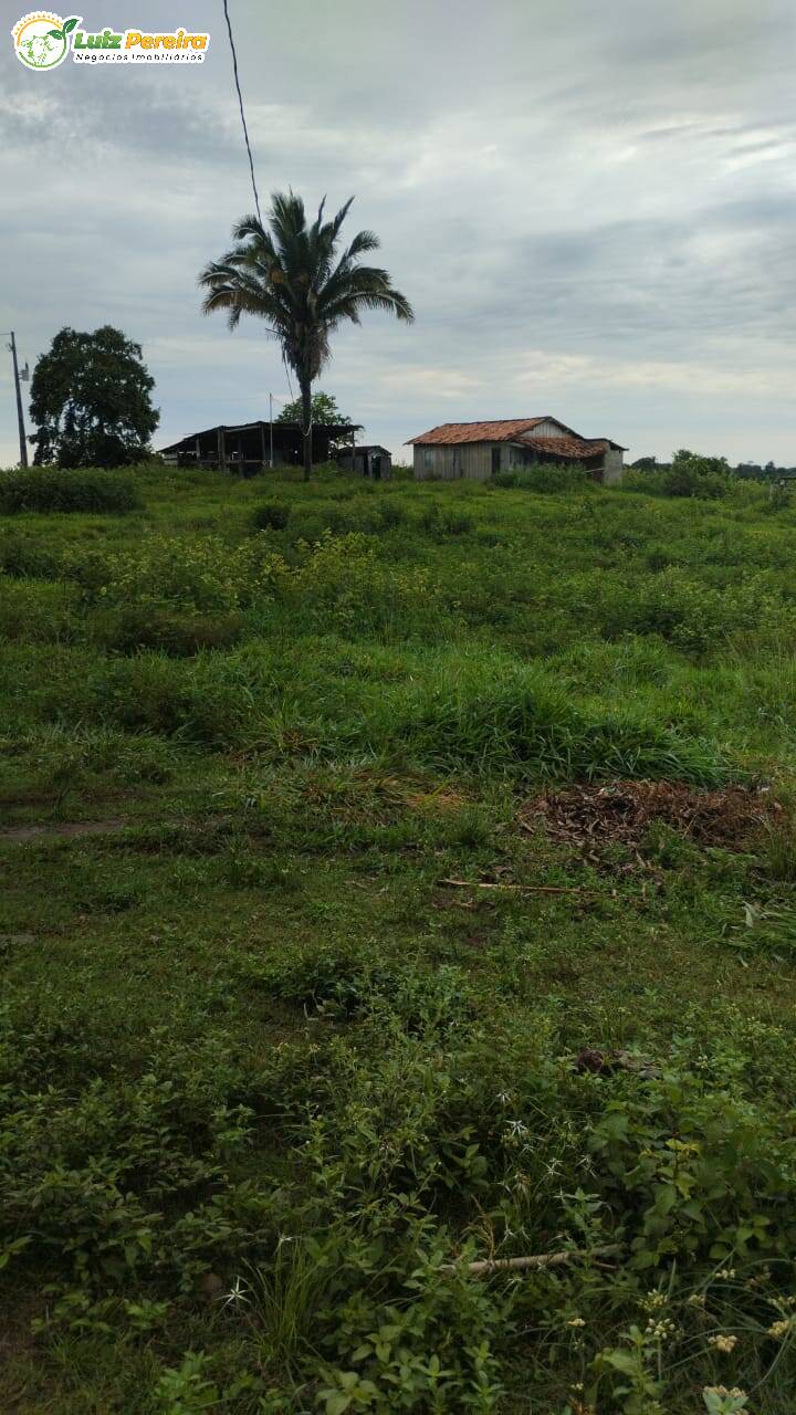 Fazenda à venda, 5650000m² - Foto 6