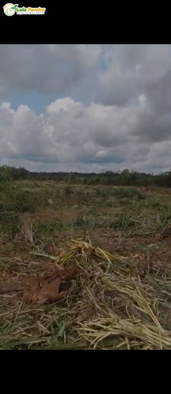 Fazenda à venda, 5650000m² - Foto 14