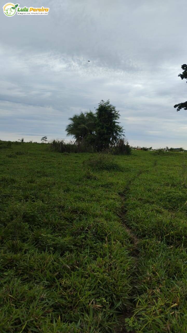 Fazenda à venda, 5650000m² - Foto 7