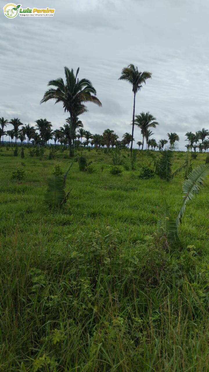 Fazenda à venda, 5650000m² - Foto 17