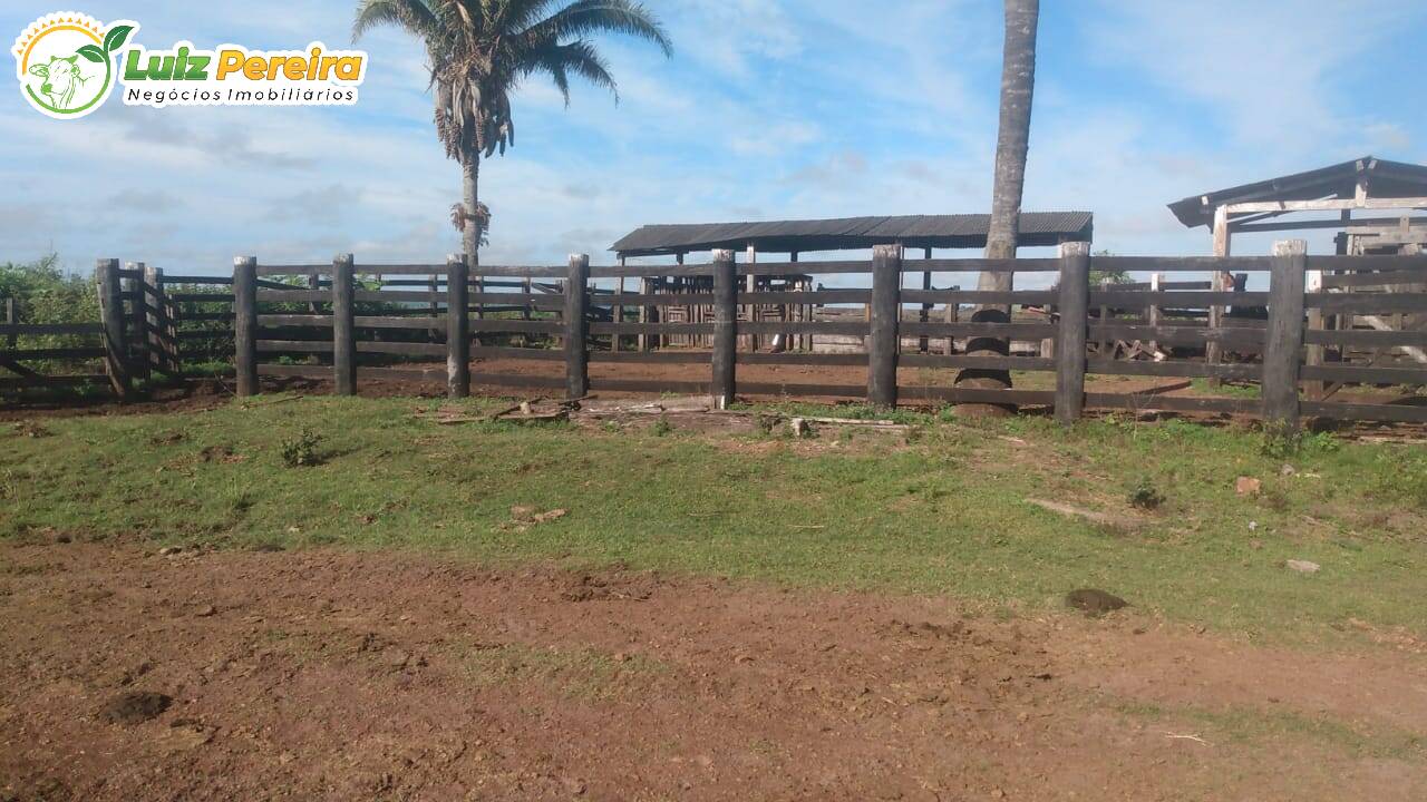 Fazenda à venda, 5650000m² - Foto 20