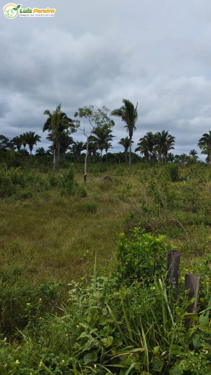 Fazenda à venda, 5650000m² - Foto 5