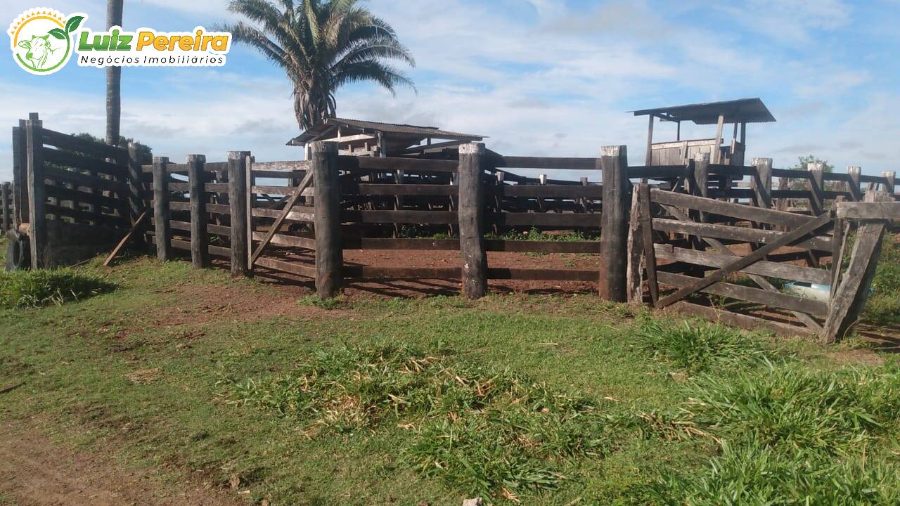 Fazenda à venda, 5650000m² - Foto 22